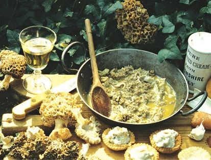 Morels à la crème