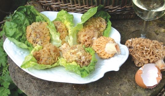 Morels American style
