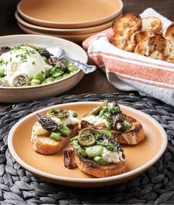 Morels, asparagus, fava beans and fiddlehead ferns with burrata