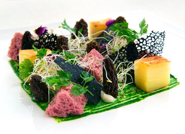 Morels, salsify purée, beetroot sponge, squid crackers