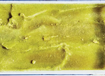 Moringa-soy milk sorbet