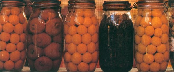 Moroccan preserved lemons (Citrons confits)