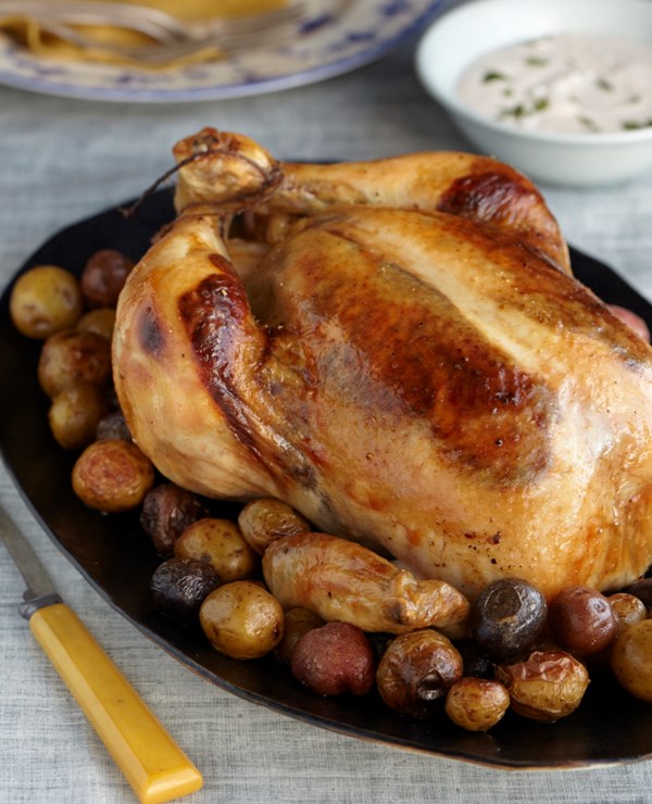Moroccan-spiced roast chicken with creamy cilantro sauce