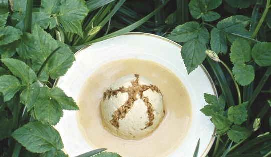 Mousse chaude aux morilles