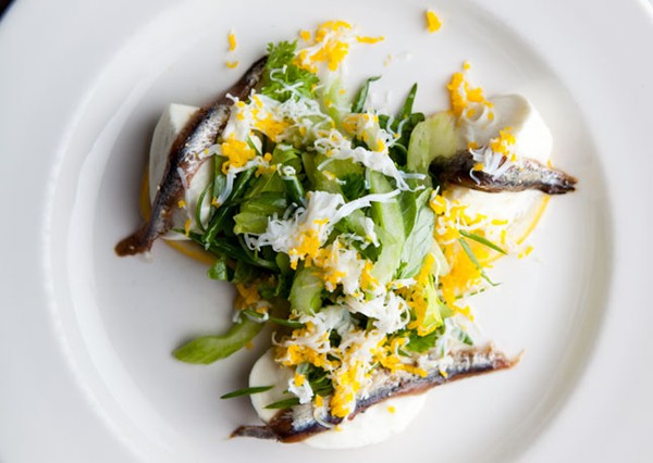 Mozzarella di bufala with anchovy & celery-herb salad