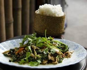 Ms Daen's Vietnamese/Lao ginger chicken