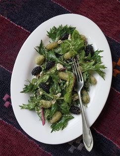 Mulberry and goat cheese salad (Tutis salati)