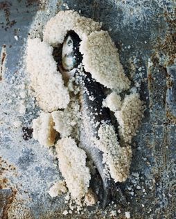 Mullet baked in a salt crust (Muggine al sale)