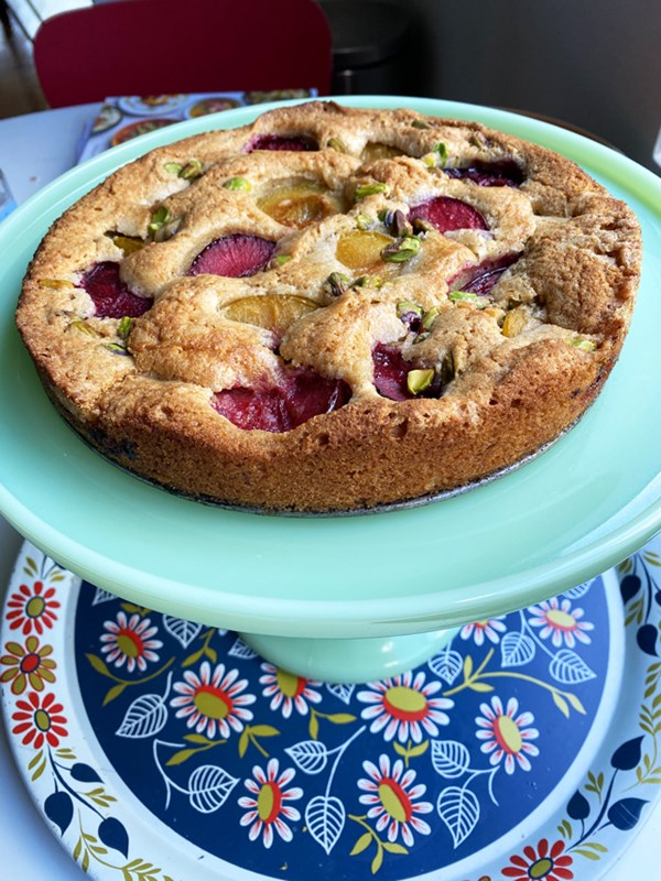 Multicolored plum cake with pistachios