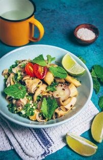 Mushroom laab