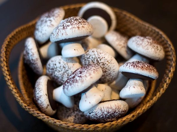 Mushroom meringues