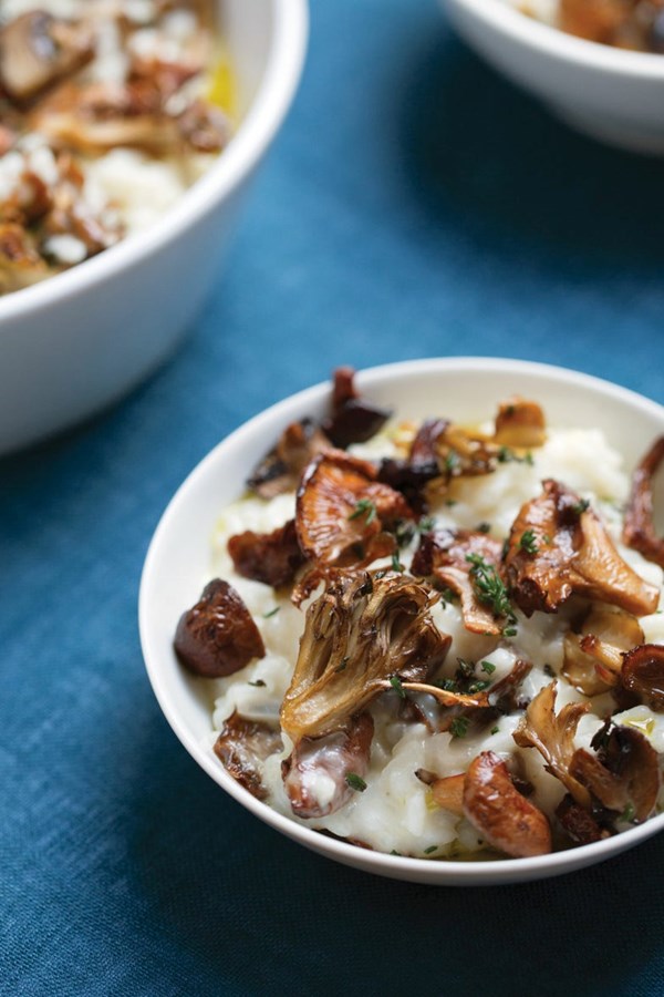 Mushroom risotto 