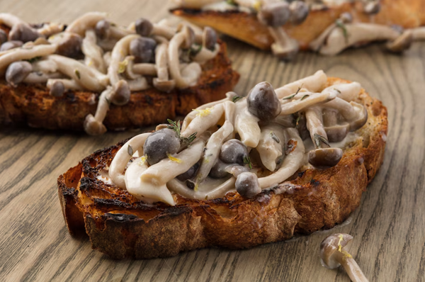 Mushroom toast: beech, thyme, Sancerre