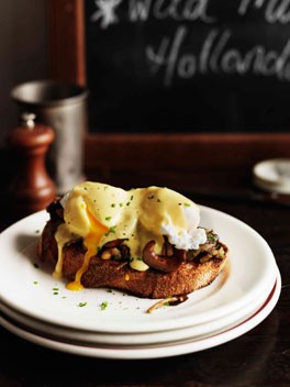 Mushrooms on toast with poached eggs and Hollandaise