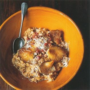 Mushrooms with cannellini bean purée and rice (Vellutata di funghi cardoncelli)