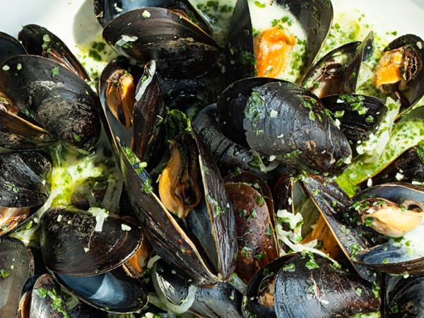 Mussels in pistou broth 