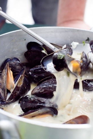 Mussels with herb-cream broth