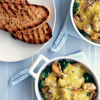 Mussels with saffron sauce and spinach