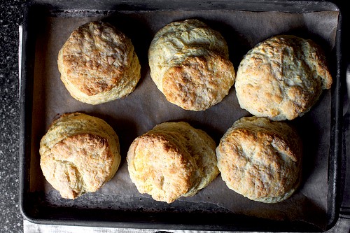 My favorite buttermilk biscuits