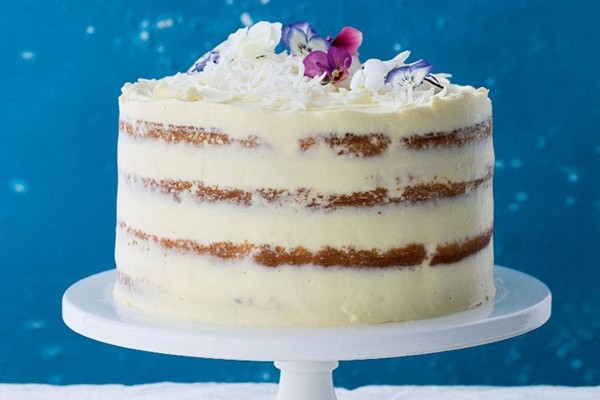 Naked lamington cake with raspberry jam panna cotta
