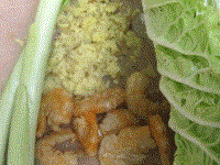 Napa cabbage with dried shrimp (Kāiyáng báicài / 開洋白菜)