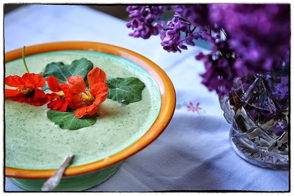 Nasturtium and buttermilk soup