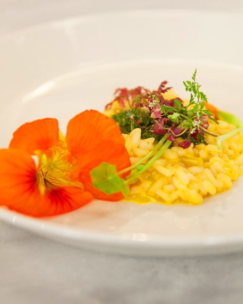 Nasturtium pesto