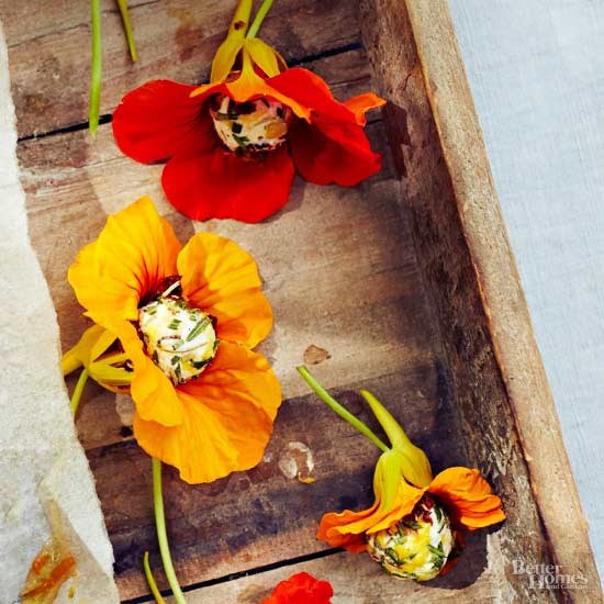 Nasturtium poppers