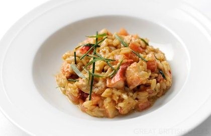 Native lobster risotto with tarragon and chives