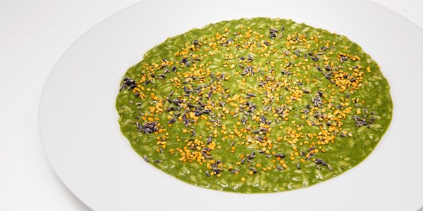 Nettle risotto, goat's cheese, pollen and lavender