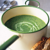 Nettle soup