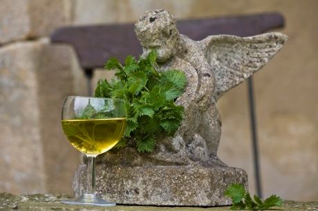 Nettle wine