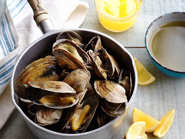 New England steamers