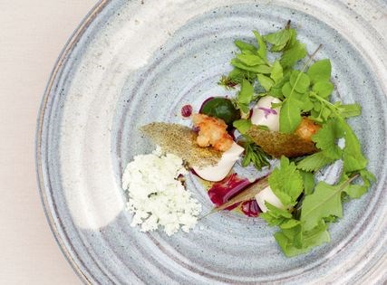 NG7/salad