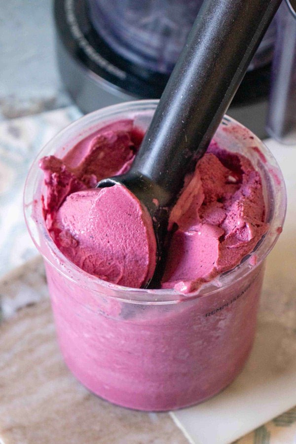 Ninja Creami blueberry frozen yoghurt (froyo)