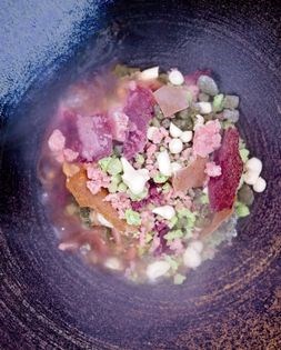 Nitro summer salad