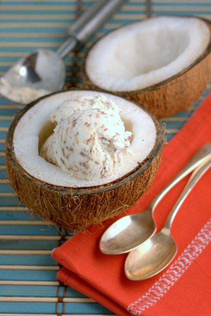 No churn (& no mutiny) bounty ice cream