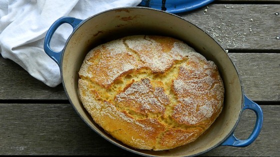 No-knead  bread 1 (Pane cafone 1)