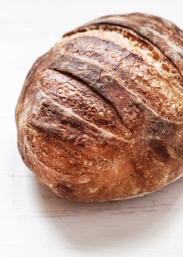 No knead bread