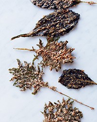 Nutty baby kale chips