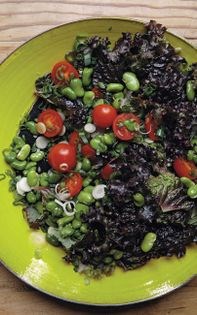 Oak-leaf lettuce, fresh fava, and cherry tomatoes with dill-yogurt dressing