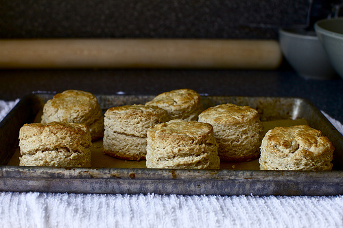 Oat and maple syrup scones