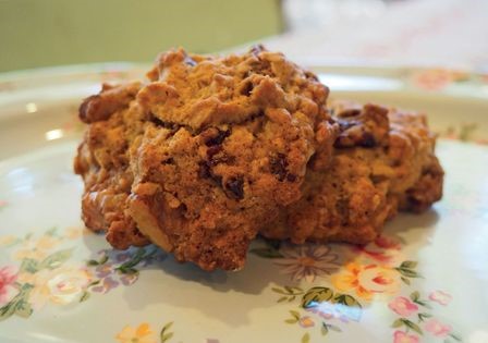 Oatmeal hermits
