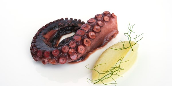 Octopus, pink grapefruit and fennel