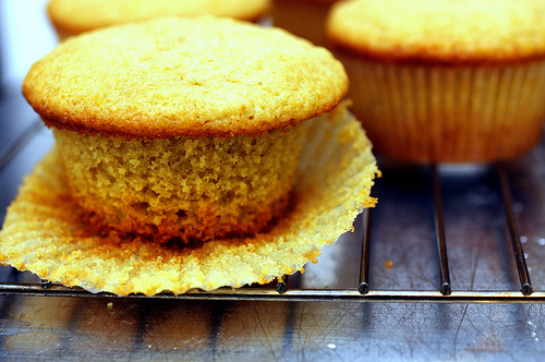 Olive oil muffins