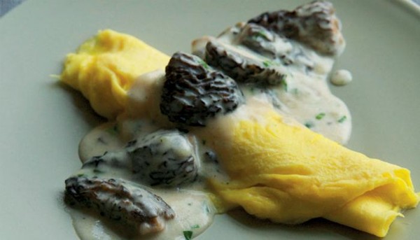 Omelet with creamy morel mushrooms