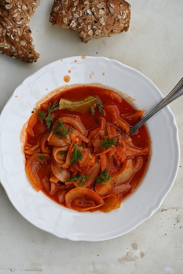 Onion and vegetable broth soup