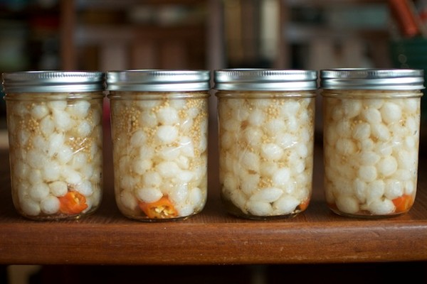 Onion pickles