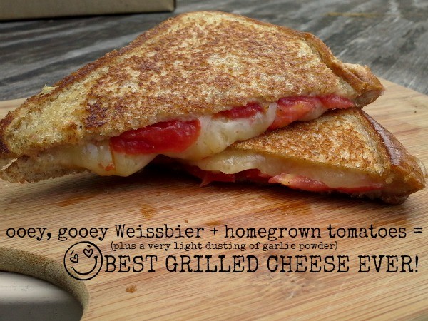 Ooey, gooey Weissbier grilled cheese