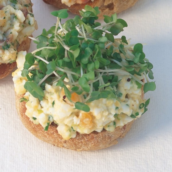 Open-faced egg, chive and spring onion sandwiches